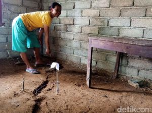 Video Fenomena Alam Tanah Bergerak di Banjarnegara