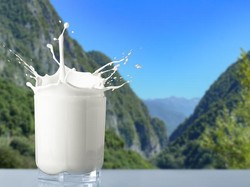 Minuman Masa Kolonial Kini Jadi Minuman Favorit Milenial