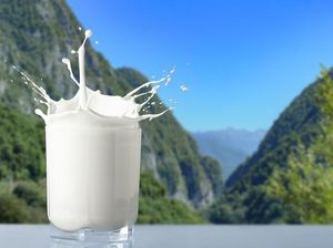 Minuman Masa Kolonial Kini Jadi Minuman Favorit Milenial Minuman Masa Kolonial Kini Jadi Minuman Favorit Milenial
