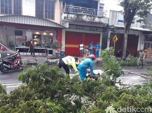 Polisi Banyuwangi Waspada Bencana Banjir, Longsor dan Pohon Tumbang