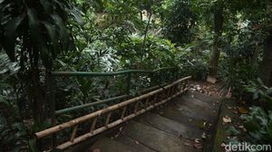 Potret Ciliwung Condet yang Direncanakan Jadi Destinasi Wisata