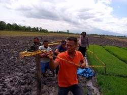 Terjadi Lagi Petani Tewas Tersetrum Jebakan Tikus, Kali Ini di Sragen