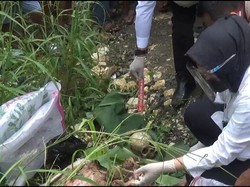 Geger! Warga Temukan Tengkorak Manusia di Semak-semak Bogor