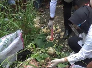 Kerangka Manusia Berserakan di Bogor Dibawa ke RS Polri Kerangka Manusia Berserakan di Bogor Dibawa ke RS Polri