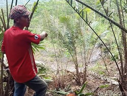 Tanah Gerak di Banjarnegara: Belasan Rumah Rusak, 10 Warga Diungsikan