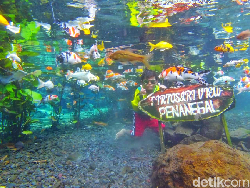 Traveler yang Rindu Selfie Under Water, Cus ke Wisata Alam Tirtosari Saja