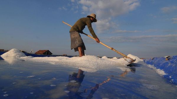 Balada Petani Garam di Indonesia