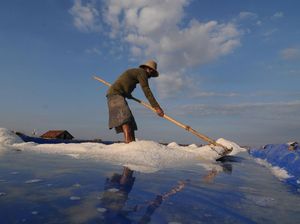 Balada Petani Garam di Indonesia