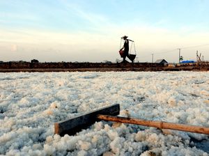 Pemerintah Impor Garam 3 Juta Ton, Petani: Stok Kita Masih Menumpuk
