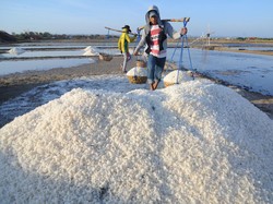 Parah! Harga Garam di Tingkat Nelayan Cuma Rp 100/Kg