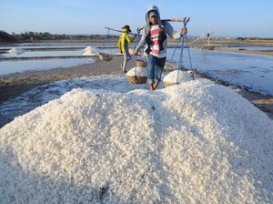 Garis Pantai RI Panjang Tapi Masih Impor Garam, Ini Biang Keroknya Garis Pantai RI Panjang Tapi Masih Impor Garam, Ini Biang Keroknya