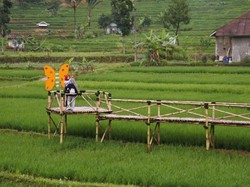 Sudah Pernah ke Desa Bantarkaret di Kabupaten Bogor?