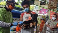 Vaksinasi Rabies Digencarkan di Jakarta