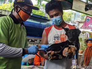 Vaksinasi Rabies Digencarkan di Jakarta