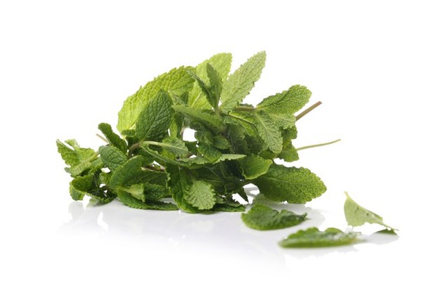 Daun mint