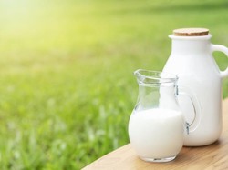 Mengenal Hokkaido Milk, Susu Jepang yang Creamy dan Kaya Rasa