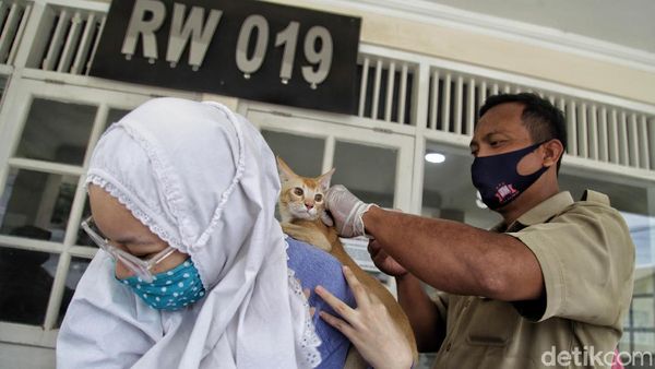 Pemkot Jakut Gencar Suntik Vaksin Rabies