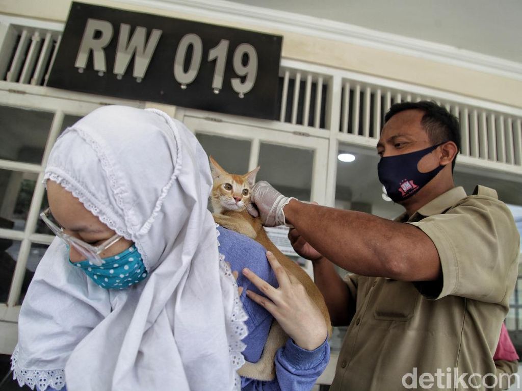 Pemkot Jakut Gencar Suntik Vaksin Rabies Pemkot Jakut Gencar Suntik Vaksin Rabies