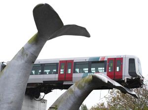 Potret Paus Selamatkan Kecelakaan Kereta di Belanda