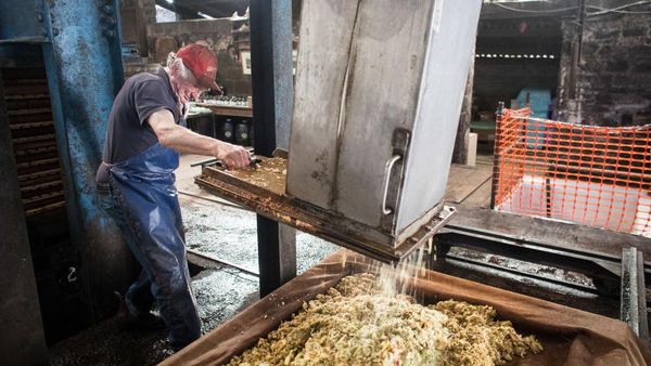 Begini Cara Bikin Sari Apel Paling Juara di Somerset Inggris