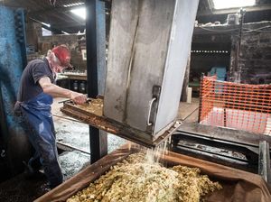 Begini Cara Bikin Sari Apel Paling Juara di Somerset Inggris Begini Cara Bikin Sari Apel Paling Juara di Somerset Inggris
