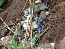 Irigasi Jebol, Puluhan Hektar Lahan Pertanian di Sukabumi Terancam