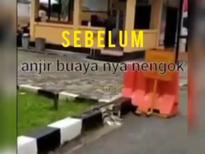 Unggah Instastory Polisi Kandang Buaya, Seorang Perempuan Dijerat UU ITE