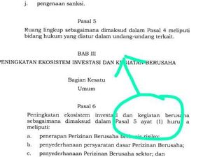 Pakar Hukum: Salah Ketik Pasal 5 UU Ciptaker Kesalahan Fatal!