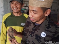 Arca Terakota Lamongan Ditemukan di Daerah Nihil Cagar Budaya