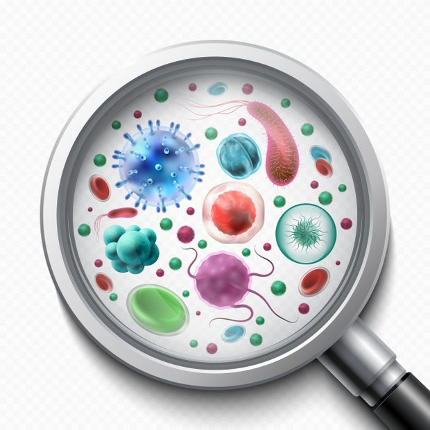 Menghindari kuman/freepik.com Brush bukan hanya dapat merusak kulit, tetapi dapat mengotori produk makeup kesayangan.