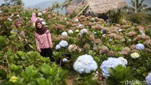 Foto: Puncak Tetetana, Ikon Baru dari Tomohon
