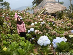 Foto: Puncak Tetetana, Ikon Baru dari Tomohon