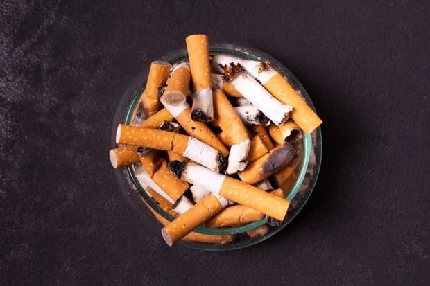 puntung rokok mengandung nikotin yang dapat membasmi hama/freepik.com