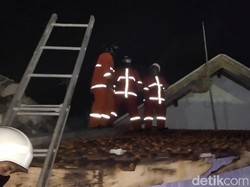 Disengat Tawon Vespa Saat Evakuasi Sarang, Petugas PMK Dilarikan ke RS