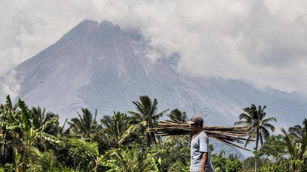A farmer walks on his field as Mount Merapi is seen in the background in Sleman, Indonesia, Thursday, Nov. 5, 2020. Indonesian authorities raised the danger level for the volatile Mount Merapi volcano on the densely populated island of Java on Thursday and ordered a halt to tourism and mining activities. (AP Photo/Slamet Riyadi)