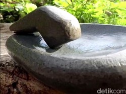 Penjelasan soal Viral Ulekan Batu Disebut Picu Batu Ginjal