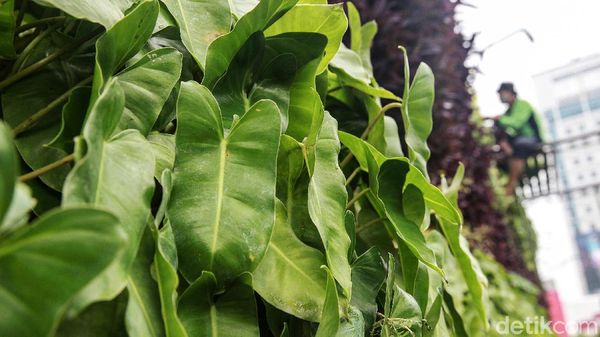 Perawatan Taman Kota Hijaukan Jakarta