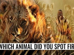 Tes Kepribadian: Zebra atau Singa yang Pertama Kali Kamu Lihat Dalam Gambar?
