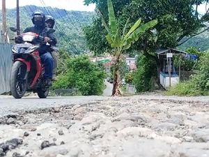 Protes Jalan Rusak 2 Tahun Tak Diperbaiki, Warga Ambon Tanam Pohon Pisang