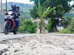 Protes Jalan Rusak 2 Tahun Tak Diperbaiki, Warga Ambon Tanam Pohon Pisang