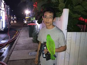 Burung Beo Berteriak Anton, Anton Untuk Selamatkan Tuannya dari Api