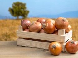 Selain Melezatkan Makanan, Bawang Bombai Punya 7 Manfaat Sehat Ini