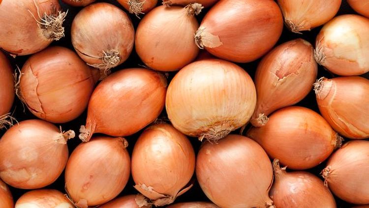 Operasi di Semarang Sita 133 Ton Bawang Bombay Selundupan