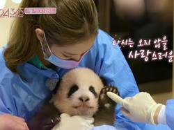 Blackpink Diinvestigasi karena Dituduh Membahayakan Bayi Panda