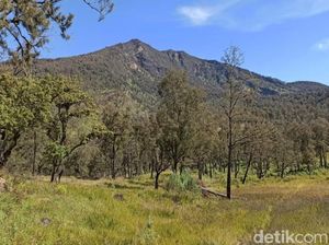 Ada Pendaki Nekat Naik Gunung Arjuna-Welirang Meski Cuaca Buruk