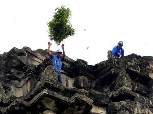 Petugas Bersih-bersih di Angkor Wat: Tanpa Alas Kaki, Tanpa Pengaman Petugas Bersih-bersih di Angkor Wat: Tanpa Alas Kaki, Tanpa Pengaman