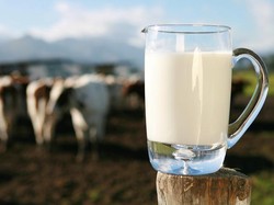 Aneh bin Ajaib! Startup Ini Sukses Bikin Susu Tanpa Sapi Perah