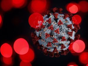 Miris! Para Peneliti COVID-19 Alami Pelecehan