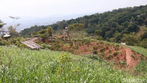 Suka Gowes? Jajal Trek MTB Baru di Bandung, Kanhay Bike Park