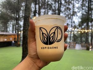 Ngopi Syahdu Ditemani Pemandangan Hutan Pinus